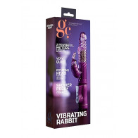 Vibrating Rabbit - Purple